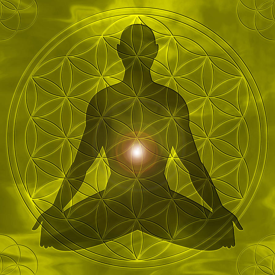 The Beginners Guide to the Solar Plexus Chakra