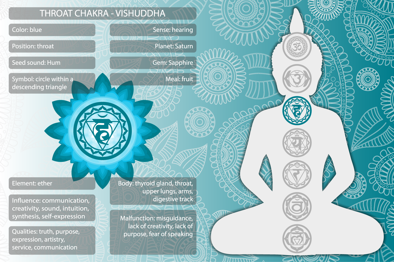 The Beginners Guide to the Throat Chakra, Everything You Need to Know!